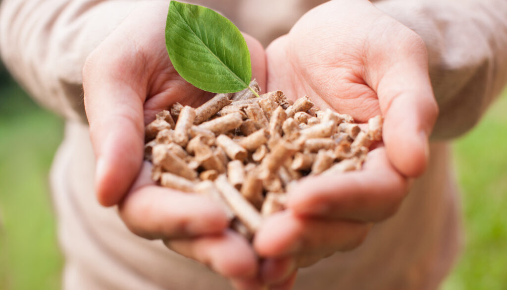 Czym jest biomasa i jakie ma zastosowania