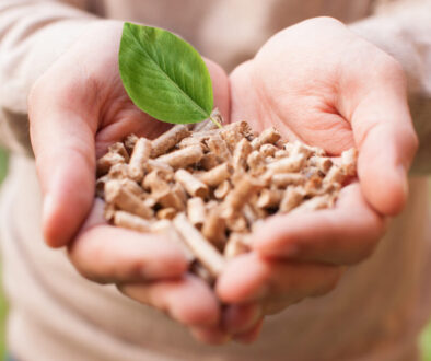Czym jest biomasa i jakie ma zastosowania
