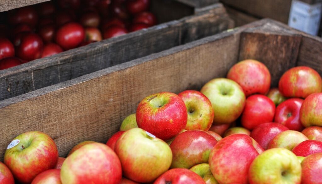 Pieczone jabłka dietetyczne