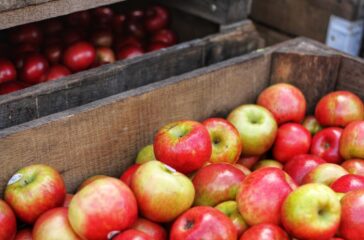 Pieczone jabłka dietetyczne
