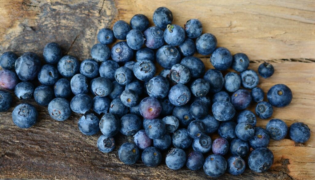 blueberries-2270379_960_720