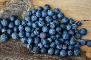 blueberries-2270379_960_720